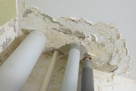water damage mold removal basics Water Damage Mold Removal Basics: Safe Cleanup Strategies