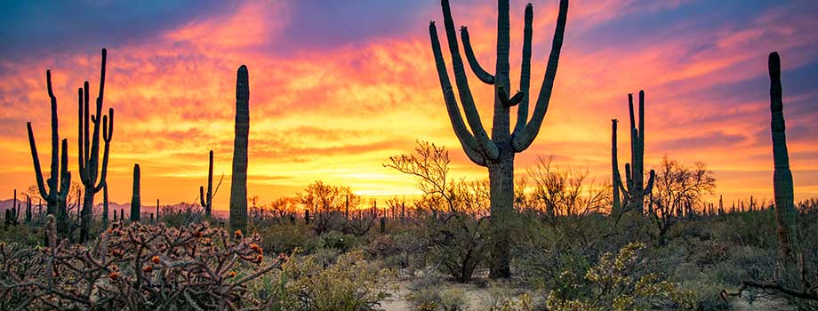 water-damage-gold-canyon-az-water-damage-restoration-gold-canyon